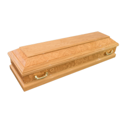 TRUHE Troja18